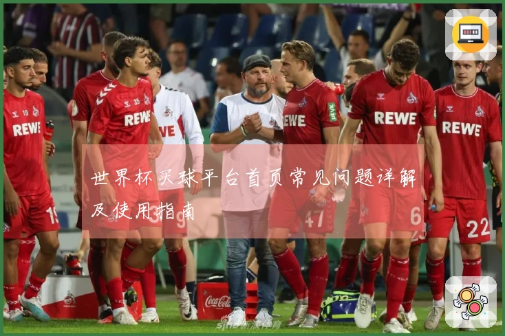 世界杯买球平台首页常见问题详解及使用指南