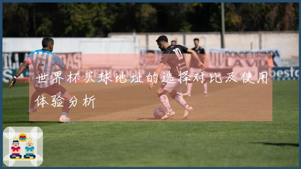世界杯买球地址的选择对比及使用体验分析
