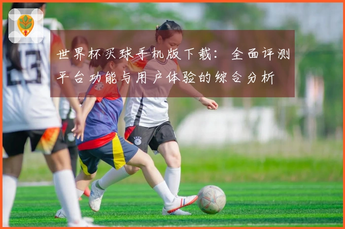 世界杯买球手机版下载:全面评测平台功能与用户体验的综合分析