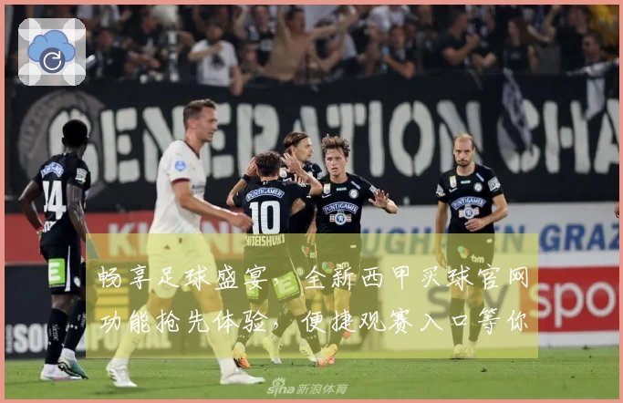 畅享足球盛宴，全新西甲买球官网功能抢先体验，便捷观赛入口等你发现