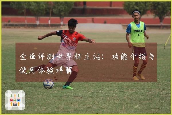 全面评测世界杯主站：功能介绍与使用体验详解