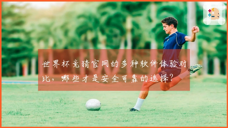 世界杯竞猜官网的多种软件体验对比，哪些才是安全可靠的选择？