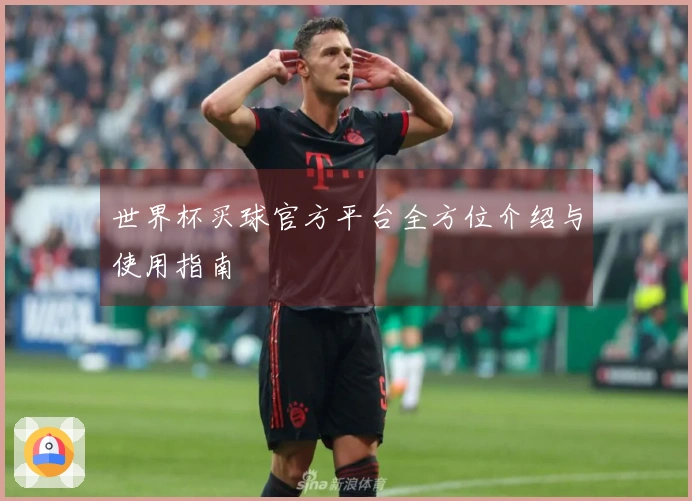 世界杯买球官方平台全方位介绍与使用指南