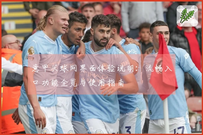 意甲买球网界面体验说明：流畅入口功能全览与使用指南
