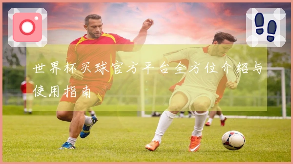世界杯买球官方平台全方位介绍与使用指南