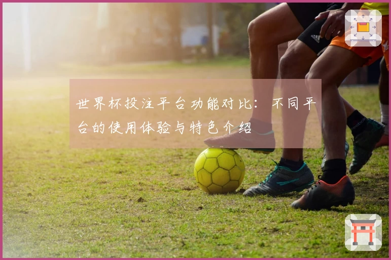 世界杯投注平台功能对比：不同平台的使用体验与特色介绍