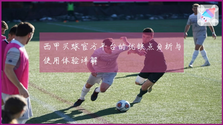 西甲买球官方平台的优缺点分析与使用体验详解