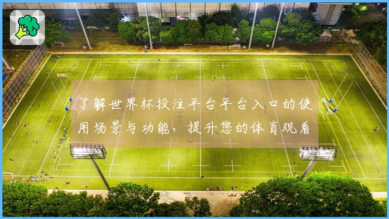 了解世界杯投注平台平台入口的使用场景与功能,提升您的体育观看体验
