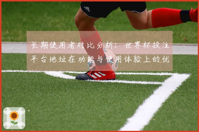 长期使用者对比分析:世界杯投注平台地址在功能与使用体验上的优劣势