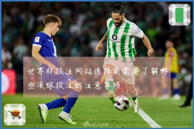 世界杯投注网站选择前需要了解哪些滚球投注的注意事项