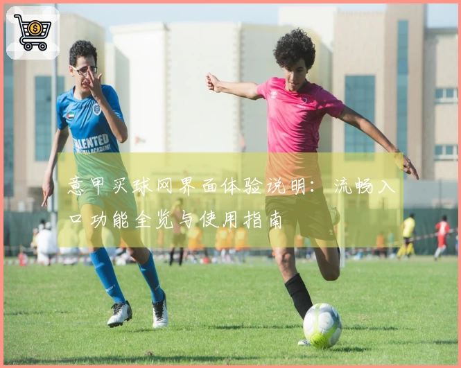 意甲买球网界面体验说明：流畅入口功能全览与使用指南