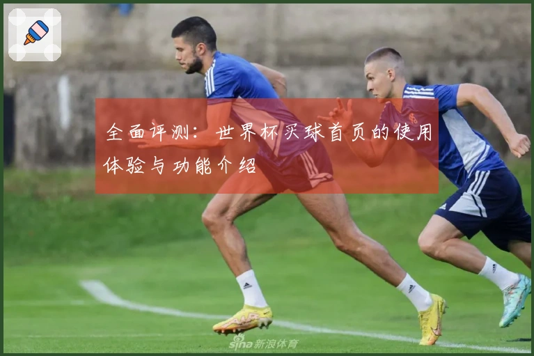 全面评测：世界杯买球首页的使用体验与功能介绍
