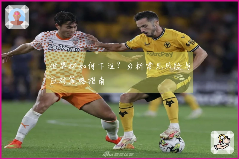 世界杯如何下注？分析常见风险与应对策略指南