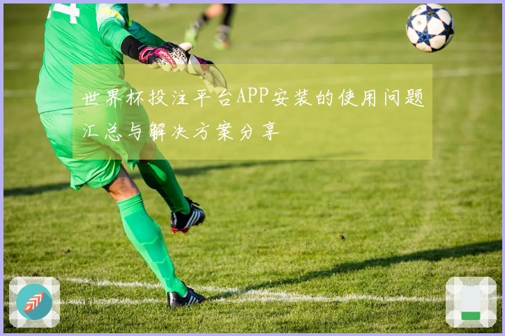 世界杯投注平台APP安装的使用问题汇总与解决方案分享